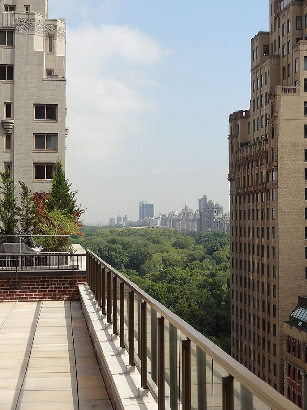 Terrace Central Park View