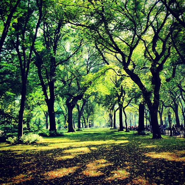 Central Park Literary Lane