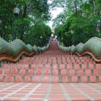 Best Things to Do in Chiang Mai Thailand Must See Activities