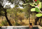 Where to Stay South Africa Safari Honeymoon